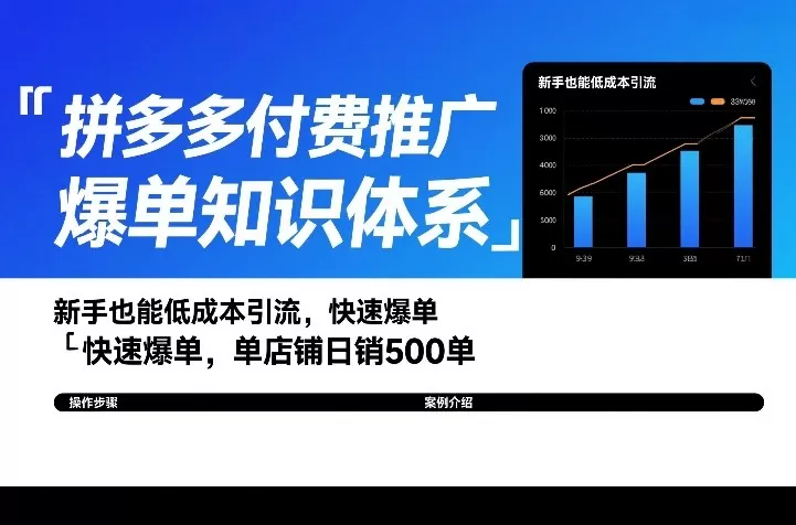 拼多多付费推广爆单知识体系，新手也能低成本引流，快速爆单，单店铺日销500单