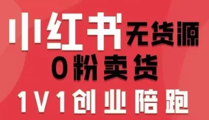 小红书无货源0粉电商课，开店准备、选品策略、笔记撰写、视频剪辑、数据分析、账号打造、资料文档（更新）