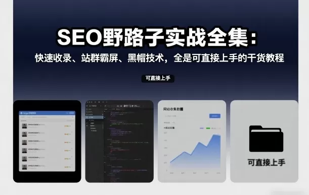 SEO野路子实战全集：快速收录、站群霸屏、黑帽技术，全是可直接上手的干货教程