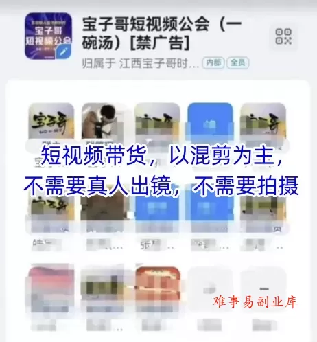 宝子哥头部团队短视频带货，以混剪为主，不需要真人出镜，不需要拍摄【更新26年1月】-难事易副业库
