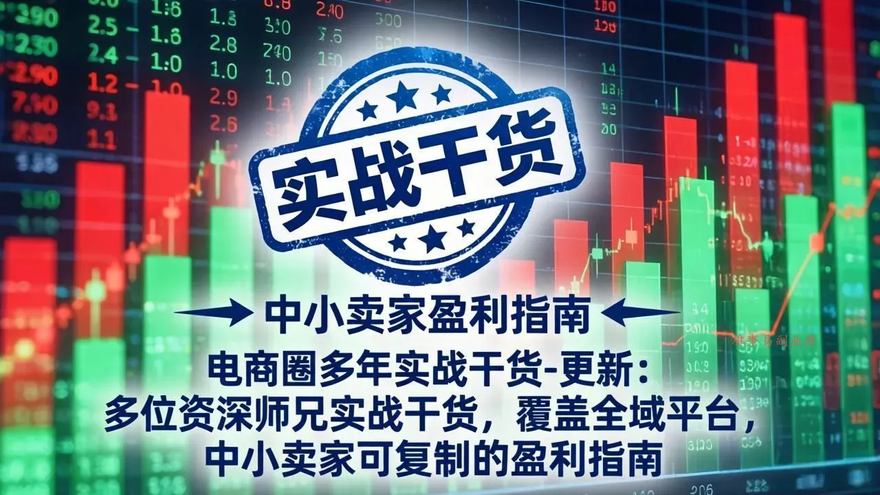 电商圈多年实战干货-更新5月20：多位资深师兄实战干货/覆盖全域平台，中小卖家可复制的盈利指南-难事易副业库