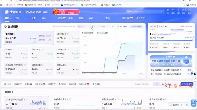 淘宝VIP特训课-更新：蓝海选品+付费投放｜短视频AI运营｜大促起爆全流程，破解店铺无流量无利润难题