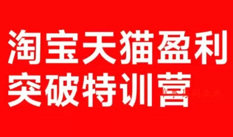 玺承·淘宝天猫盈利突破特训营(25年12月线下课)【音频+字幕】-难事易副业库