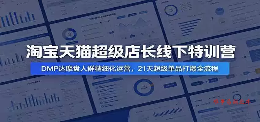 淘宝天猫超级店长线下特训营：DMP达摩盘人群精细化运营，21天超级单品打爆全流程-难事易副业库