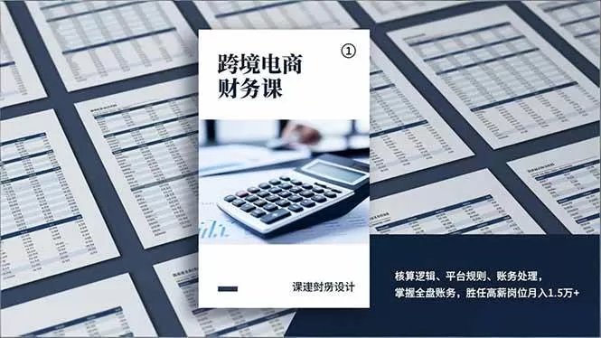 （17036期）跨境电商财务课，核算逻辑、平台规则、账务处理，掌握全盘账务，胜任高薪岗位月入1.5万+-难事易副业库