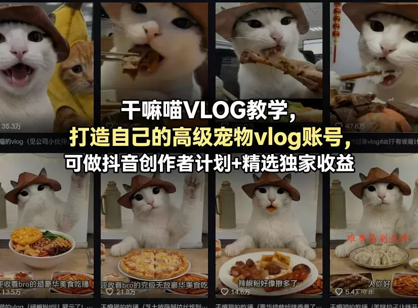干嘛喵VLOG教学，打造自己的高级宠物vlog账号，可做抖音创作者计划+精选独家收益-难事易副业库