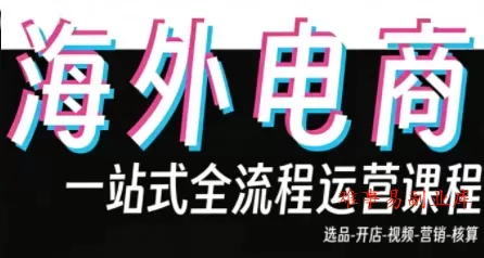 Demo老师·东南亚5国TikTok Shop运营课-难事易副业库