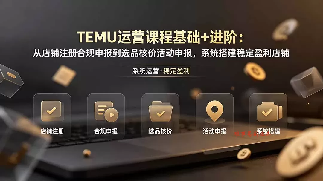 TEMU运营课程(基础+进阶 TEMU运营课程(基础+进阶