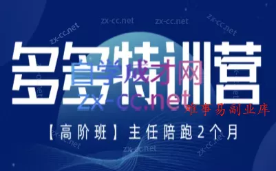 纪主任·拼多多特训营(更新6月)-难事易副业库