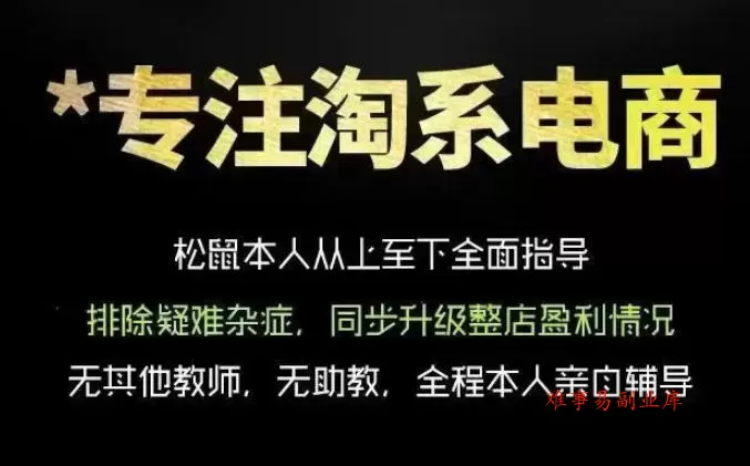 松鼠会电商VIP课程，从基础布局到高阶优化，助你掌握淘宝运营逻辑，提升店铺流量与转化-难事易副业库