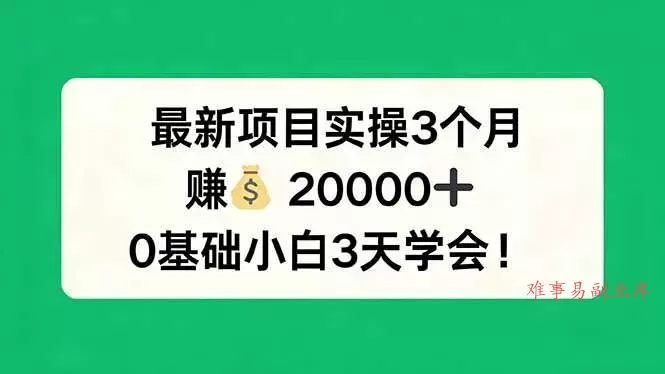 （17856期）最新项目实操3个月，赚钱20000+，0基础小白3天学会！