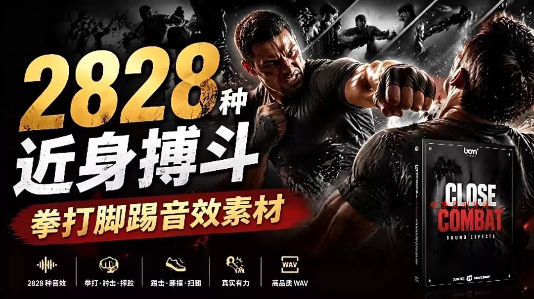 宝藏级别音效！2828种近身搏斗拳打脚踢音效素材，全部中文分类，免解压使用 Close Combat-难事易副业库