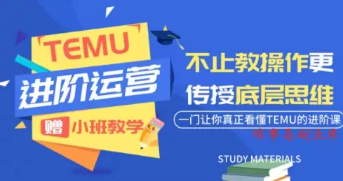 阿卡林·TEMU运营课程(基础+进阶)-难事易副业库