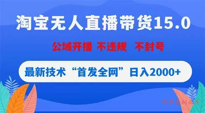 （18562期）淘宝无人直播带货15.0，不封号，不违规，公域玩法，首发全网日入2000+-难事易副业库