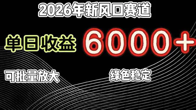 （17135期）2026年新风口赛道，当日6000+以上，可批量放大，月收入20万+，长期绿色稳定的项目-难事易副业库