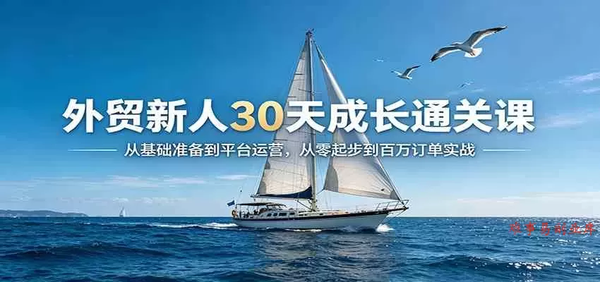 外贸新人30天成长通关课：从基础准备到平台运营，从零起步到百万订单实战-难事易副业库