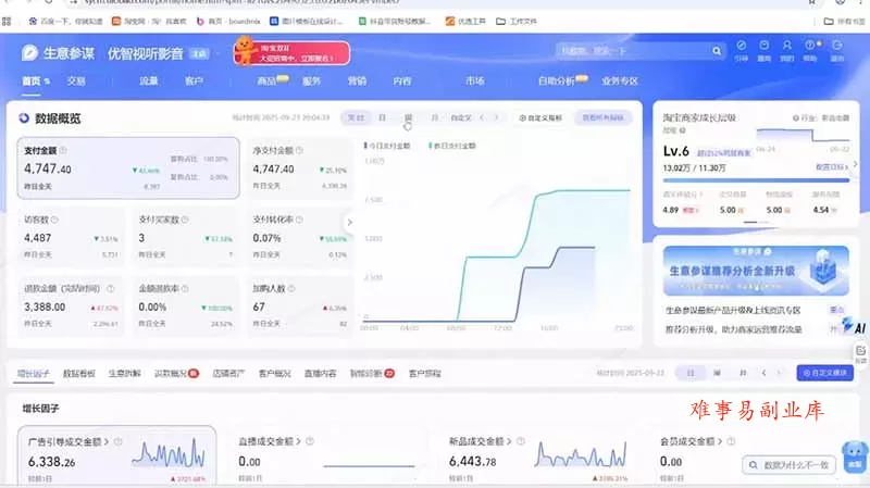 淘宝VIP特训课：蓝海选品+付费投放｜短视频AI运营｜大促起爆全流程，破解店铺无流量无利润难题