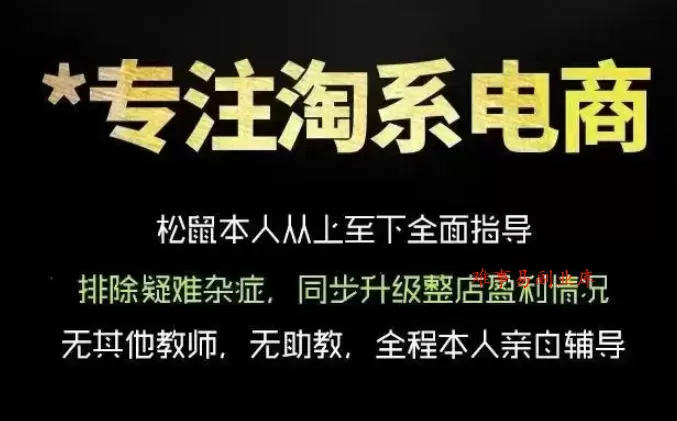 松鼠会电商VIP课程，从基础布局到高阶优化，助你掌握淘宝运营逻辑，提升店铺流量与转化（更新0809）-难事易副业库