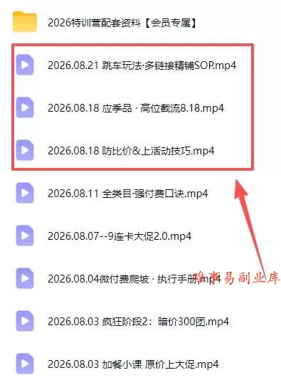 （20010期）拼多多实战特训营(更新26年0822)：不管是新手入门或老商家冲量，都有实操方法，跟着学，少走弯路