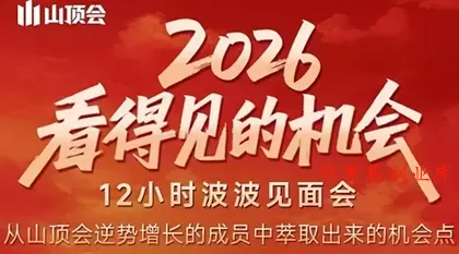 波波·2026看得见的机会12小时波波见面会(东莞线下课2月1日)-难事易副业库