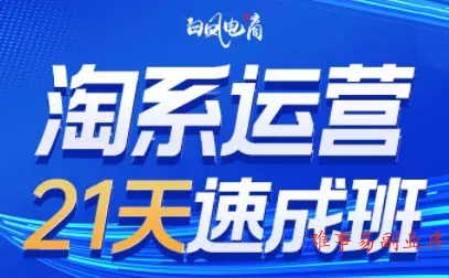 白凤电商·淘系运营21天速成班(更新8月)-难事易副业库