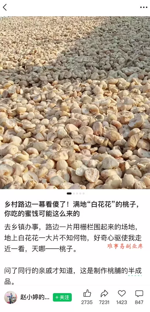 公众号小绿书贴图项目，赚收益实操玩法，听话照听话照少走90%弯路丨副业可做