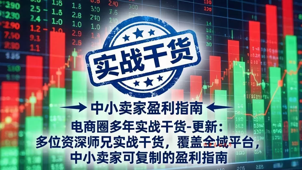 （19447期）电商圈多年实战干货-更新2026：多位资深师兄实战干货/覆盖全域平台，中小卖家可复制的盈利指南-难事易副业库
