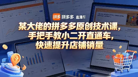 某大佬的拼多多原创技术课,手把手教小二开直通车,快速提升店铺销量 某大佬的拼多多原创技术课,手把手教小二开直通车,快速提升店铺销量