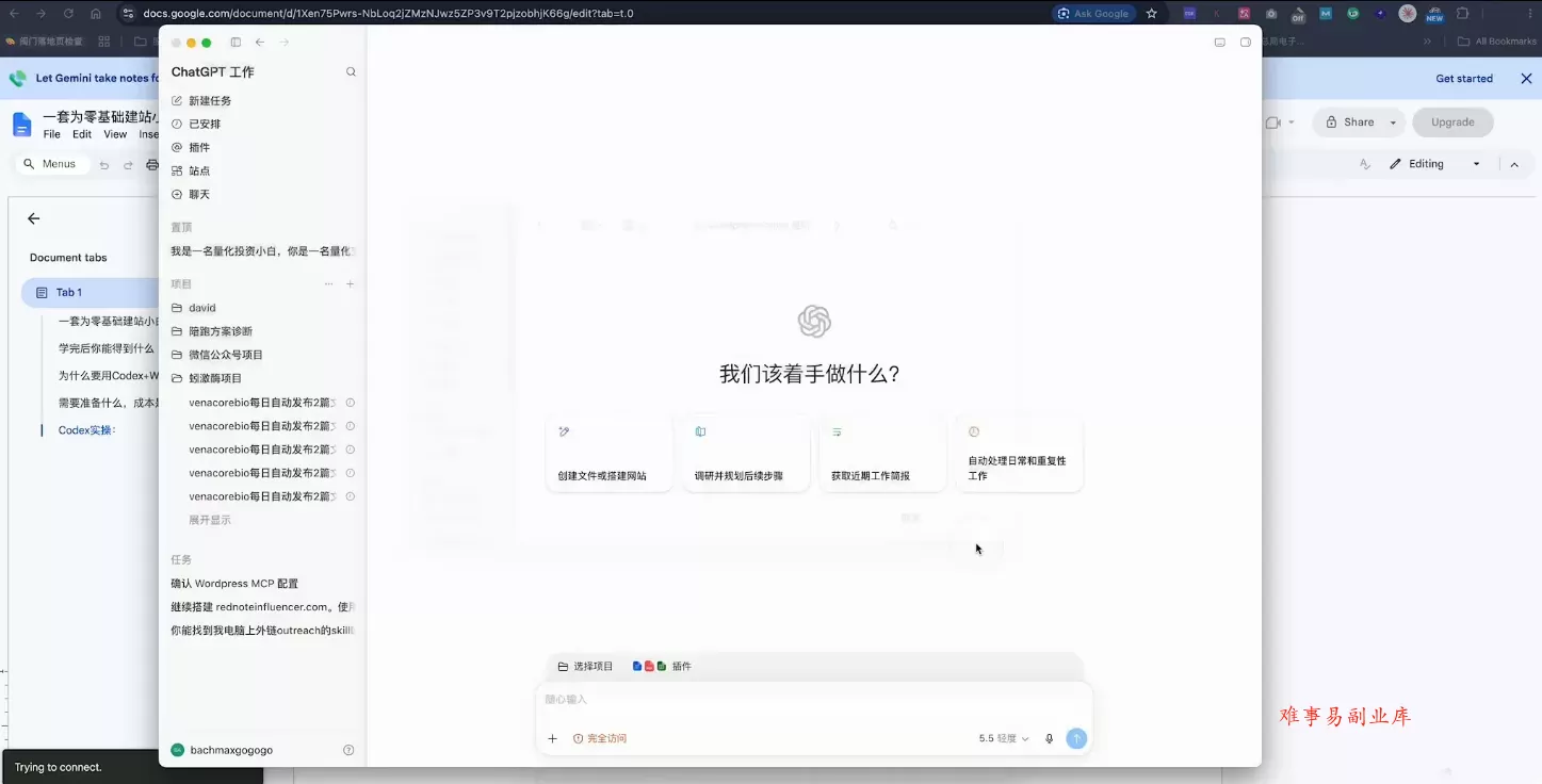 大卫·外贸人Codex + WordPress建站课(更新8月)