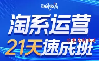 白凤电商·淘系运营21天速成班(更新2月)-难事易副业库