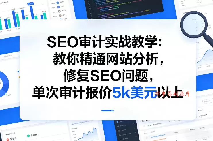 SEO审计实战教学：教你精通网站分析，修复SEO问题，单次审计报价5k美元以上-难事易副业库