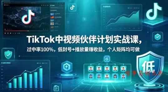 TikTok中视频伙伴计划实战课，过中率100%，低封号+播放量賺收益，个人矩阵均可做-难事易副业库