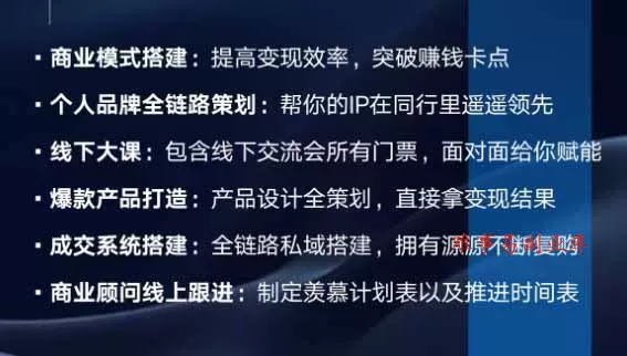 个人IP全域商业变现实战课 (无水印