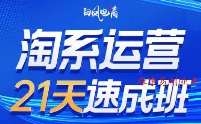 白凤电商·淘系运营21天速成班(更新7月) 白凤电商·淘系运营21天速成班(更新7月)