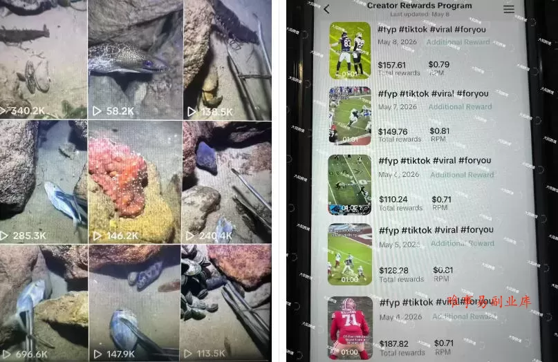 Tiktok中视频解说教程，体育+温情文案双赛道实操教程一站式带你落地，教你出海賺美刀