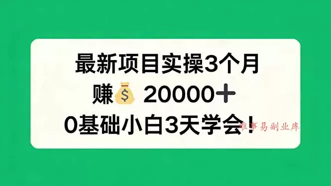 最新项目实操3个月，赚钱20000+，0基础小白3天学会！-难事易副业库