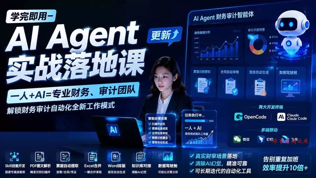 （19702期）学完即用—AI Agent实战落地课-更新：一人+AI=专业财务、审计团队，解锁财务审计自动化全新工作模式