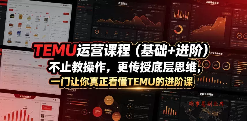 TEMU运营课程（基础+进阶），不止教操作，更传授底层思维，一门让你真正看懂TEMU的进阶课-难事易副业库
